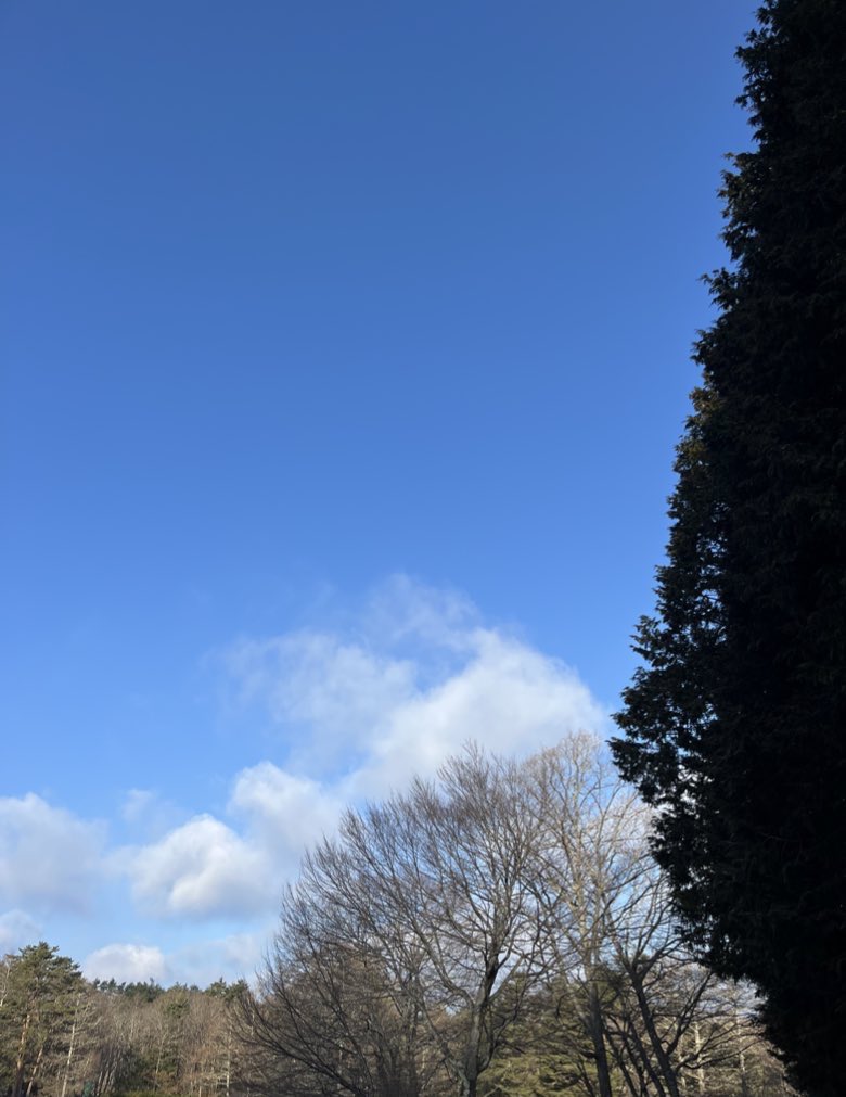 冥夢 meimu tweet media