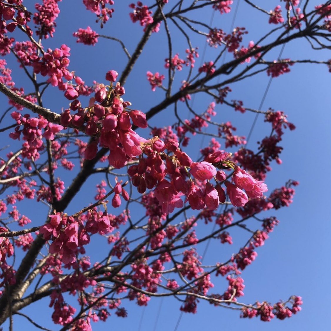 冥夢 meimu tweet media