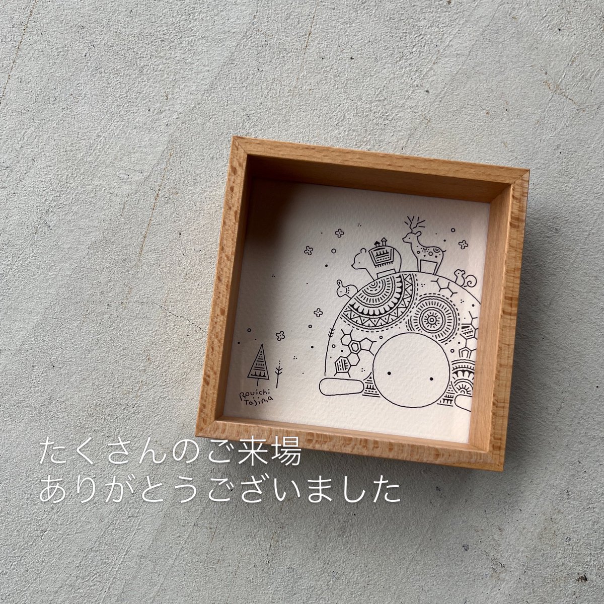 カメ DE show! in 名古屋
たくさんのご来場ありがとうございました！
また来年も出れますように

#kds名古屋2026 #かめいち堂