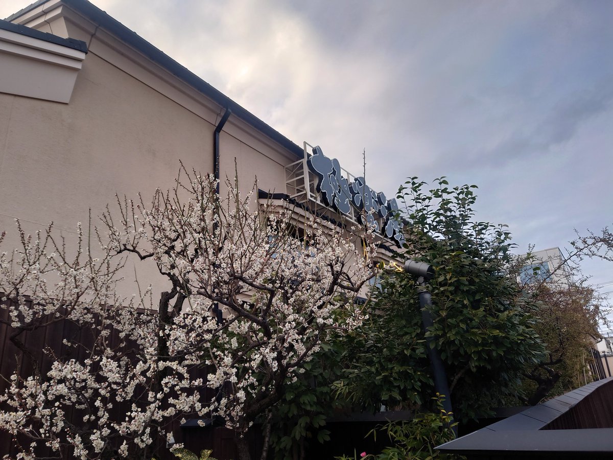 YI－METAL tweet media