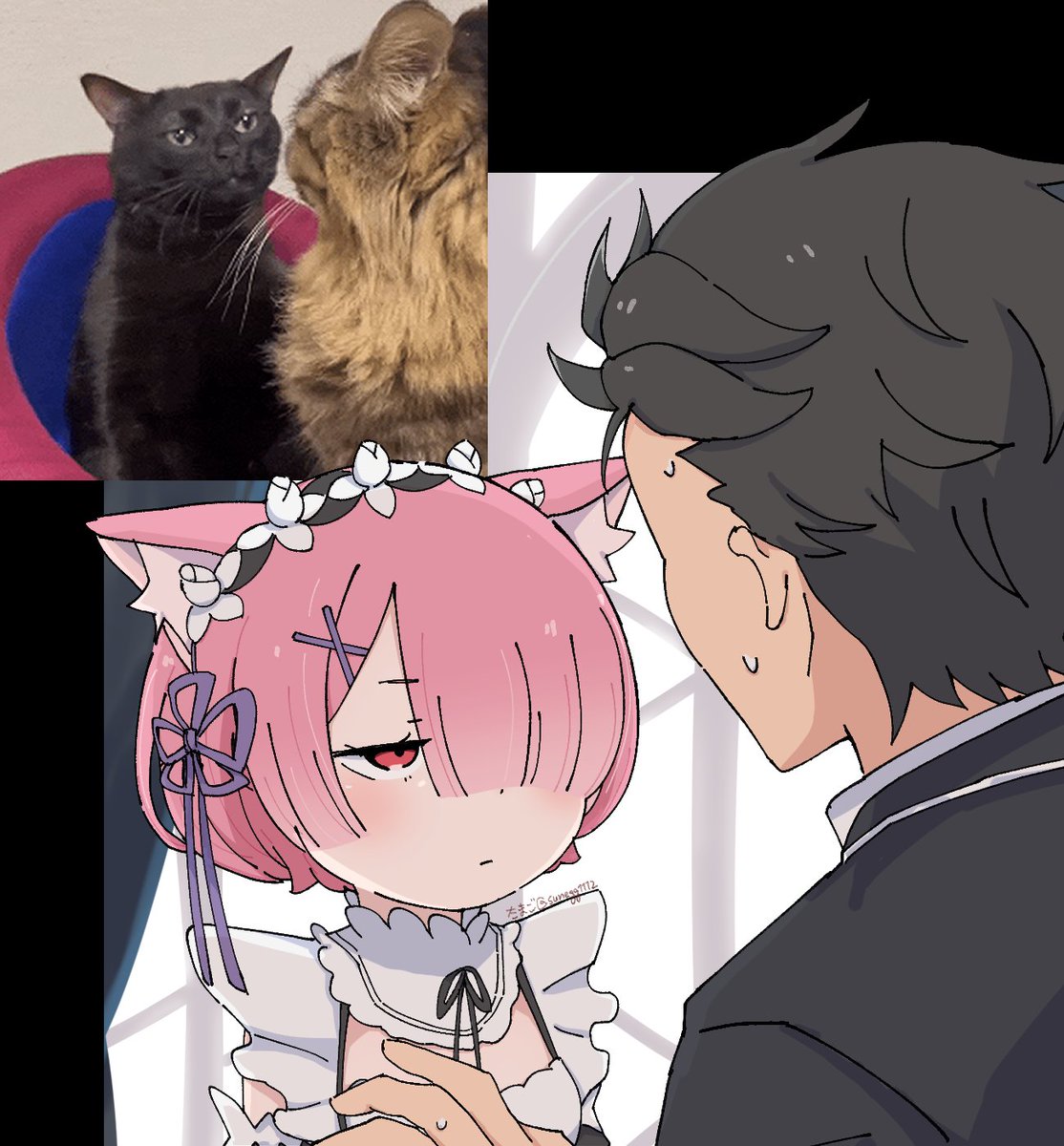 たまご tweet media