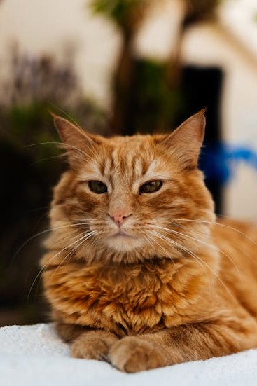 Entendu au bureau tweet media