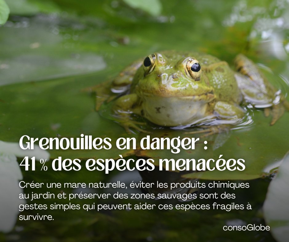 consoGlobe.com tweet media