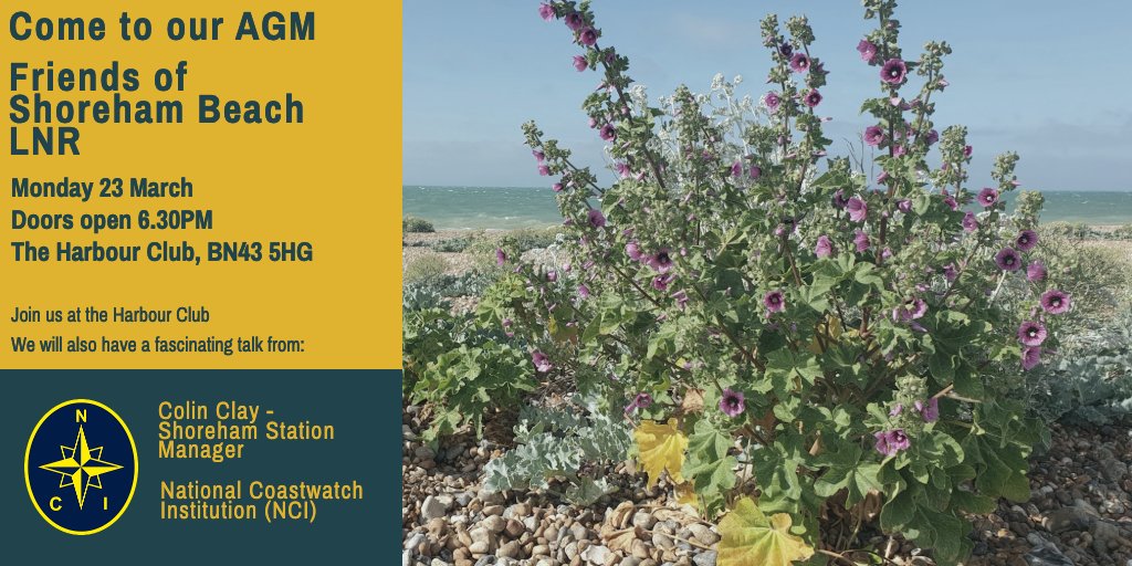 @friendsofshorehambeach tweet media