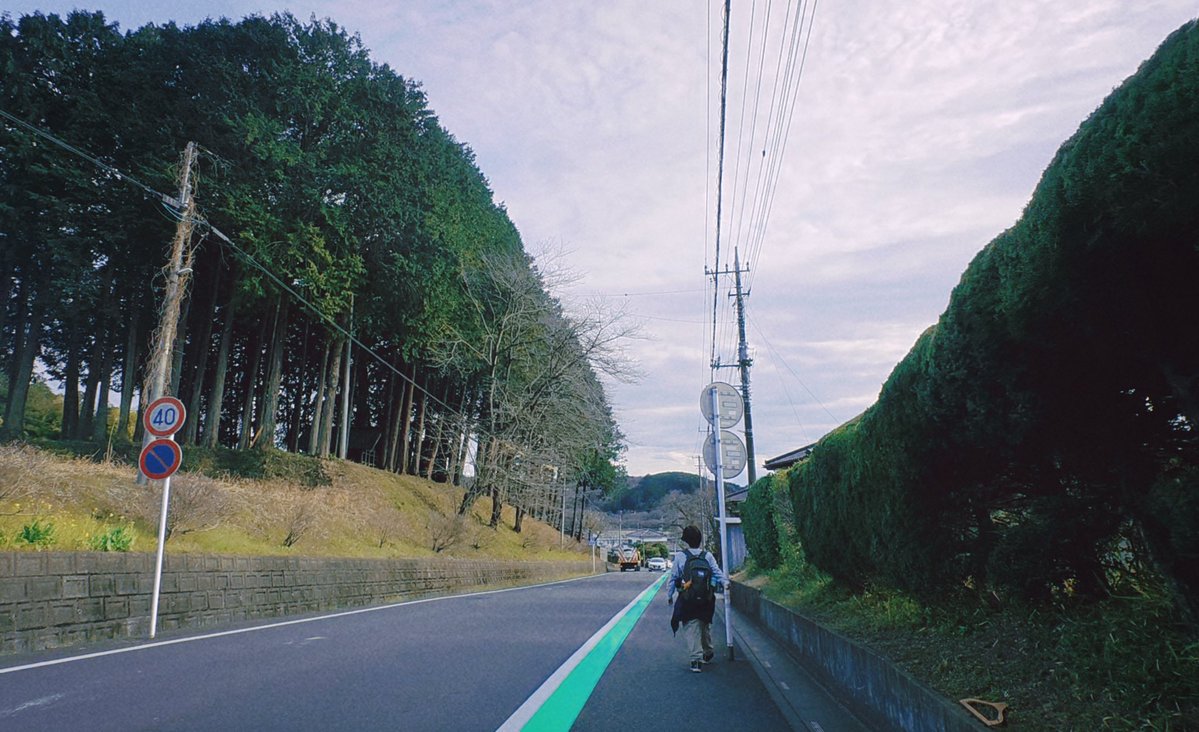 我不是你想象中的那只🐻 tweet media