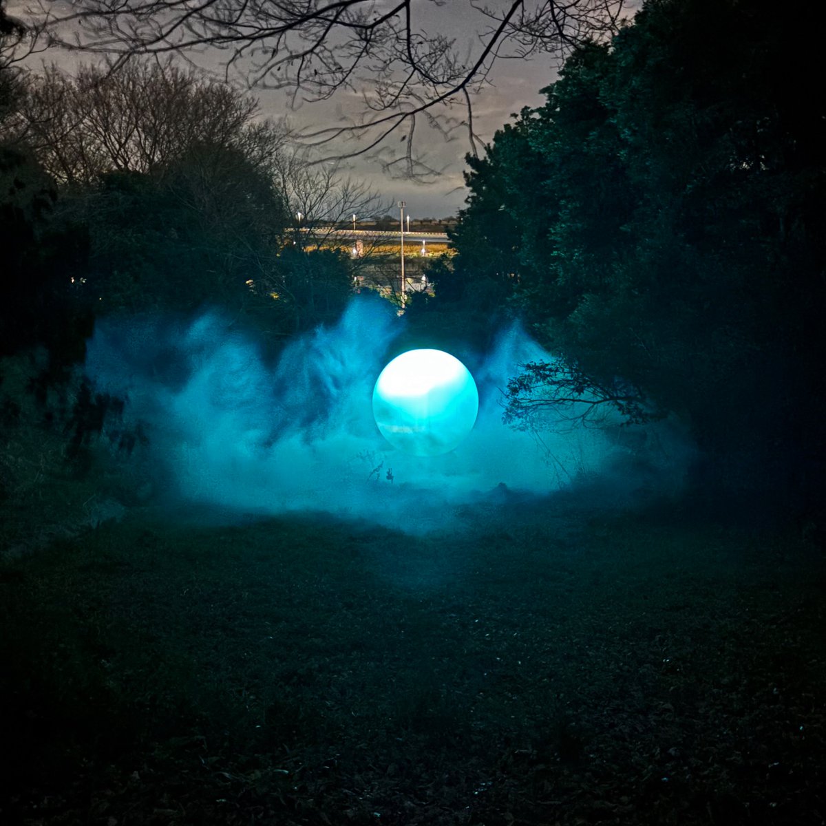 こじまゆ | DMM.com tweet media