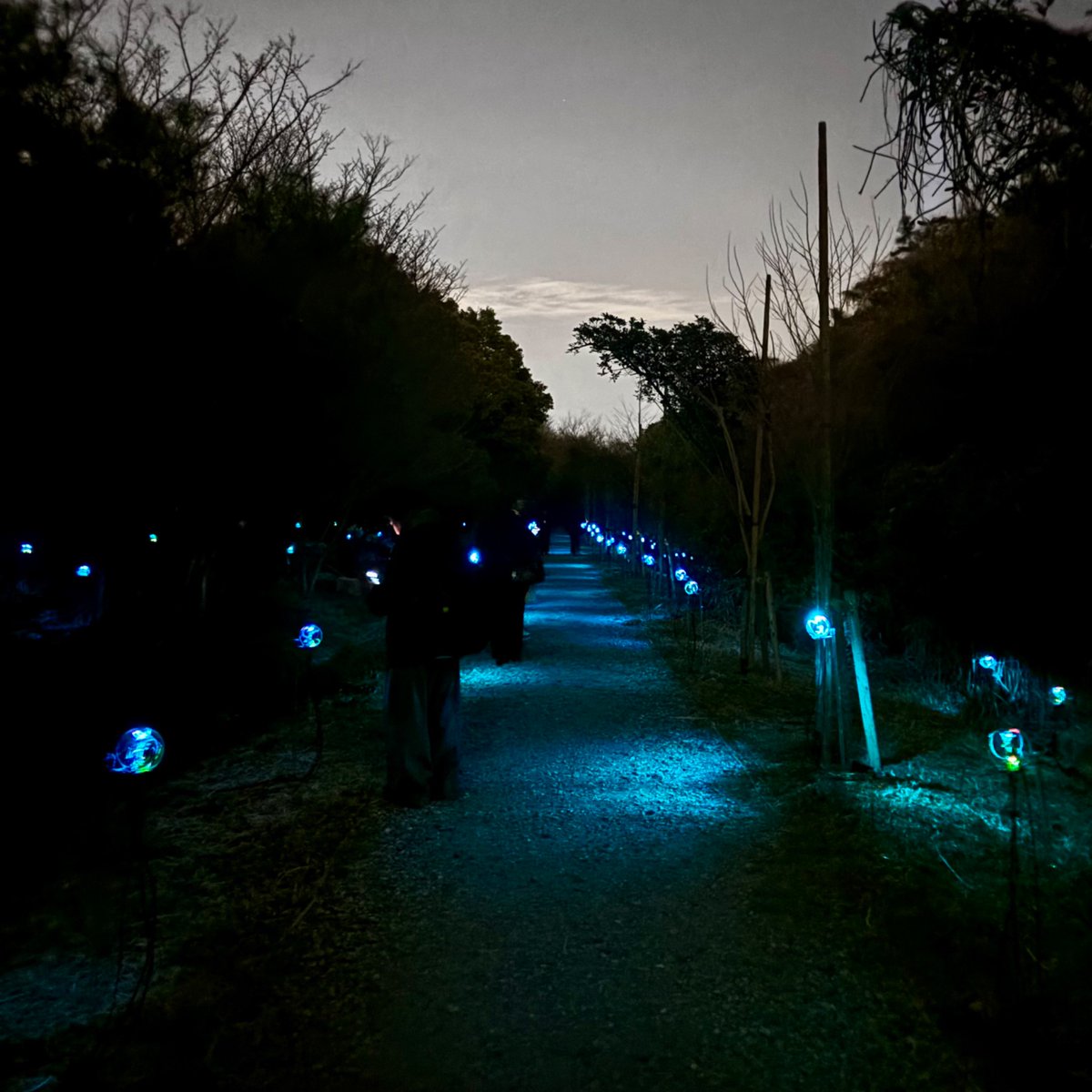 こじまゆ | DMM.com tweet media