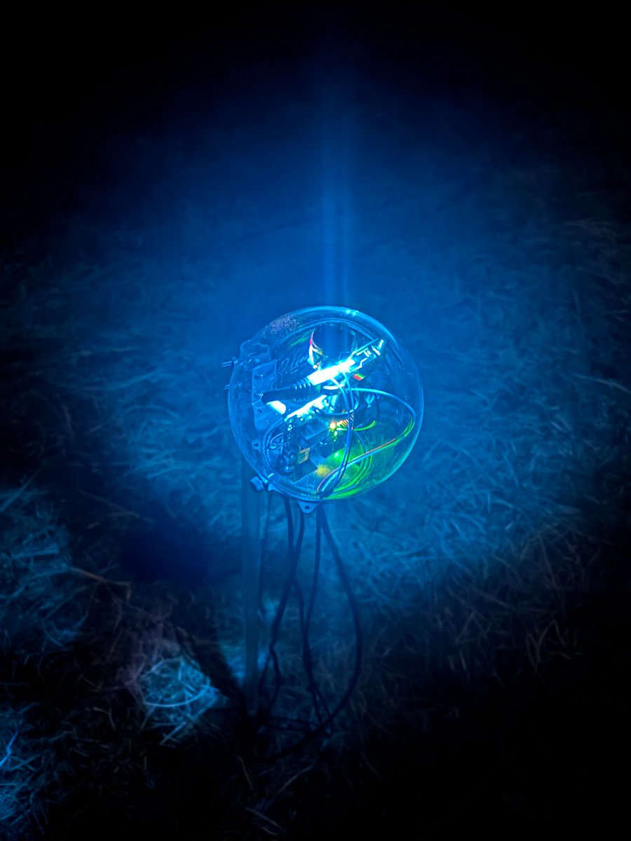 こじまゆ | DMM.com tweet media