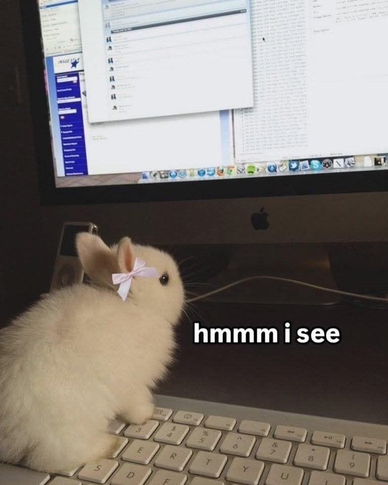 ✧ tweet media