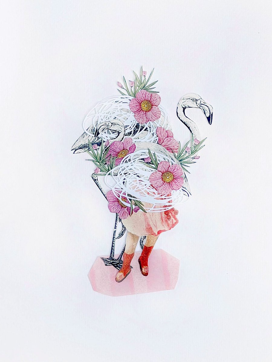 COLLAGECANTO tweet media