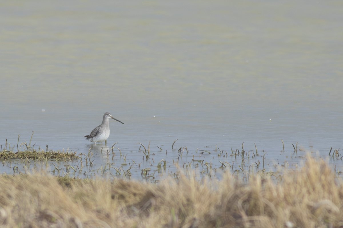 Maddy Hine tweet media