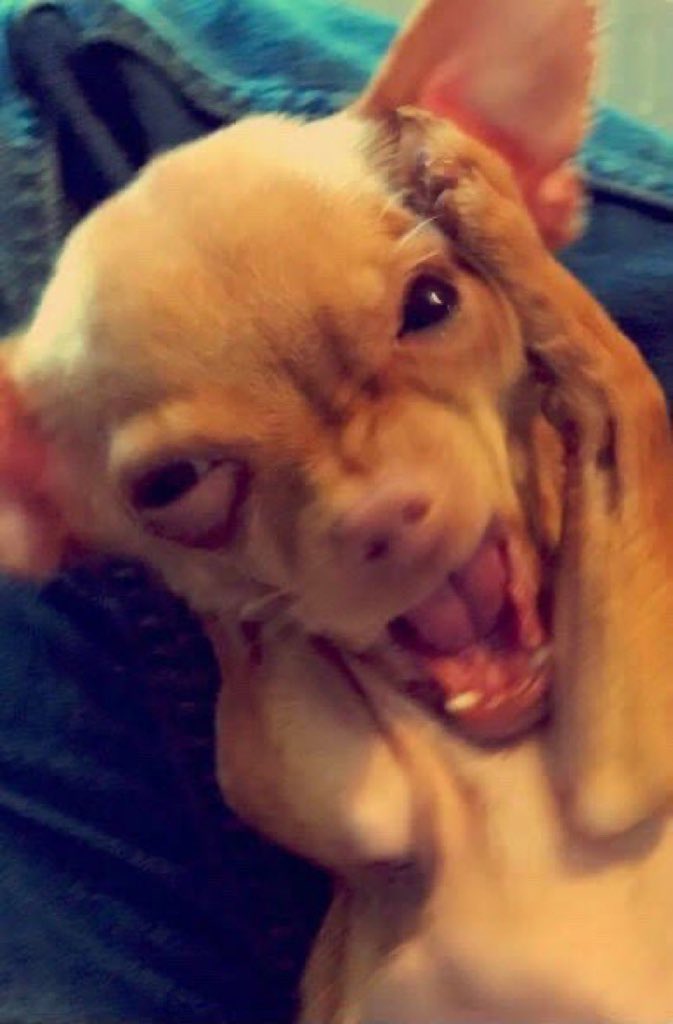 히삼이 tweet media