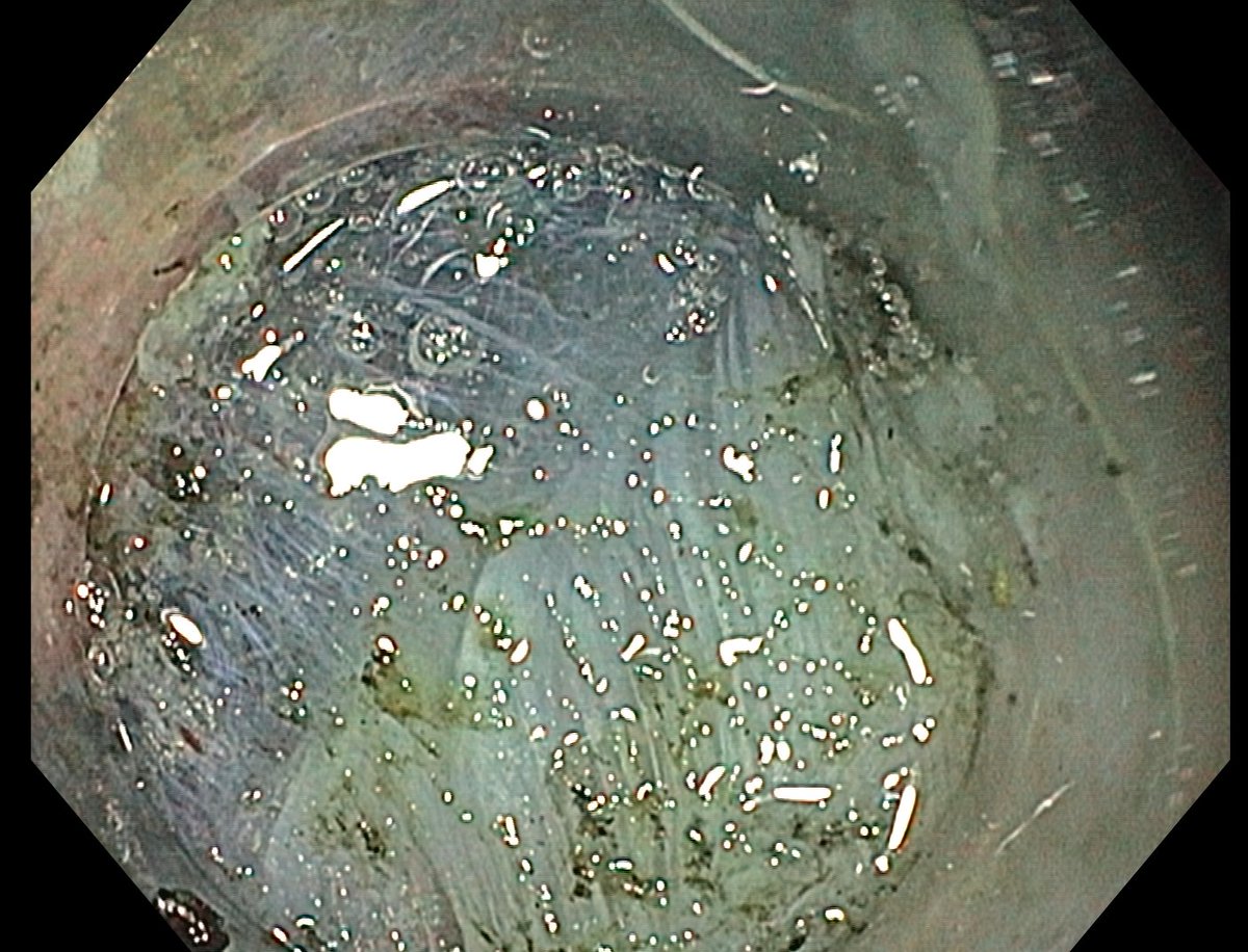 Aleksandar Gavric tweet media