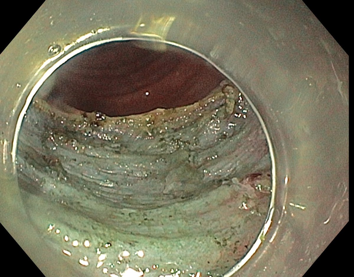 Aleksandar Gavric tweet media