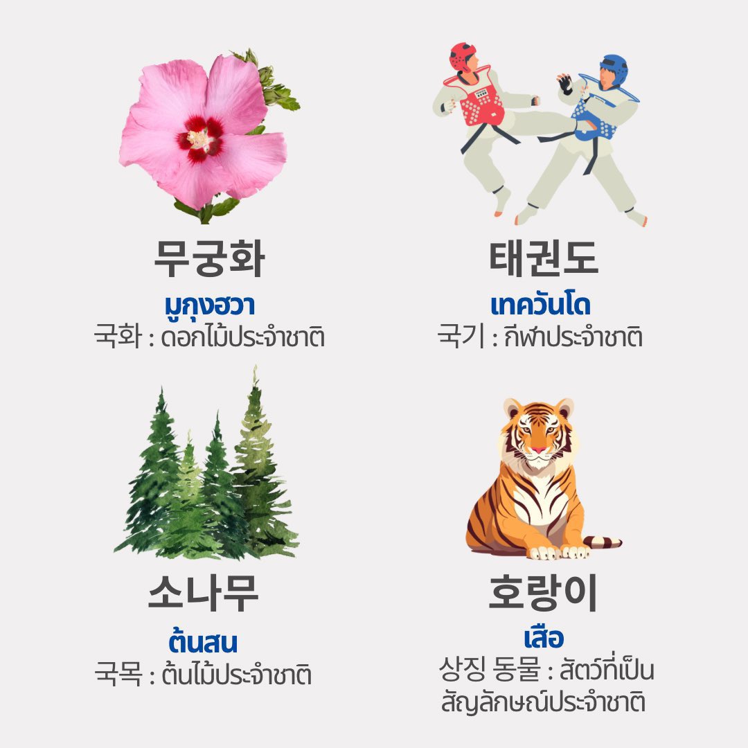 miso 🍀 รับสอนภาษาเกาหลี tweet media