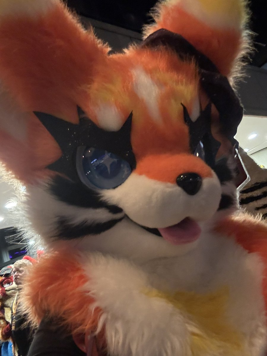 Ruby_Lombax's tweet photo. @LennyaaFluff @neoaxolotl @Alisairie @C0ralShark @Ranfox89 @Aspen_Husky @Storm_LunaTic @SnepMiha @TkupBook @KiriKiraKitsune @LiammTheCat I see me! https://t.co/1uIFlesJT6