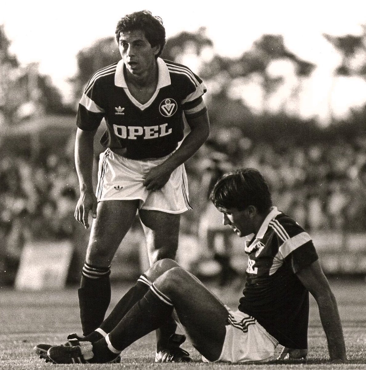 The Magic Sq. tweet media