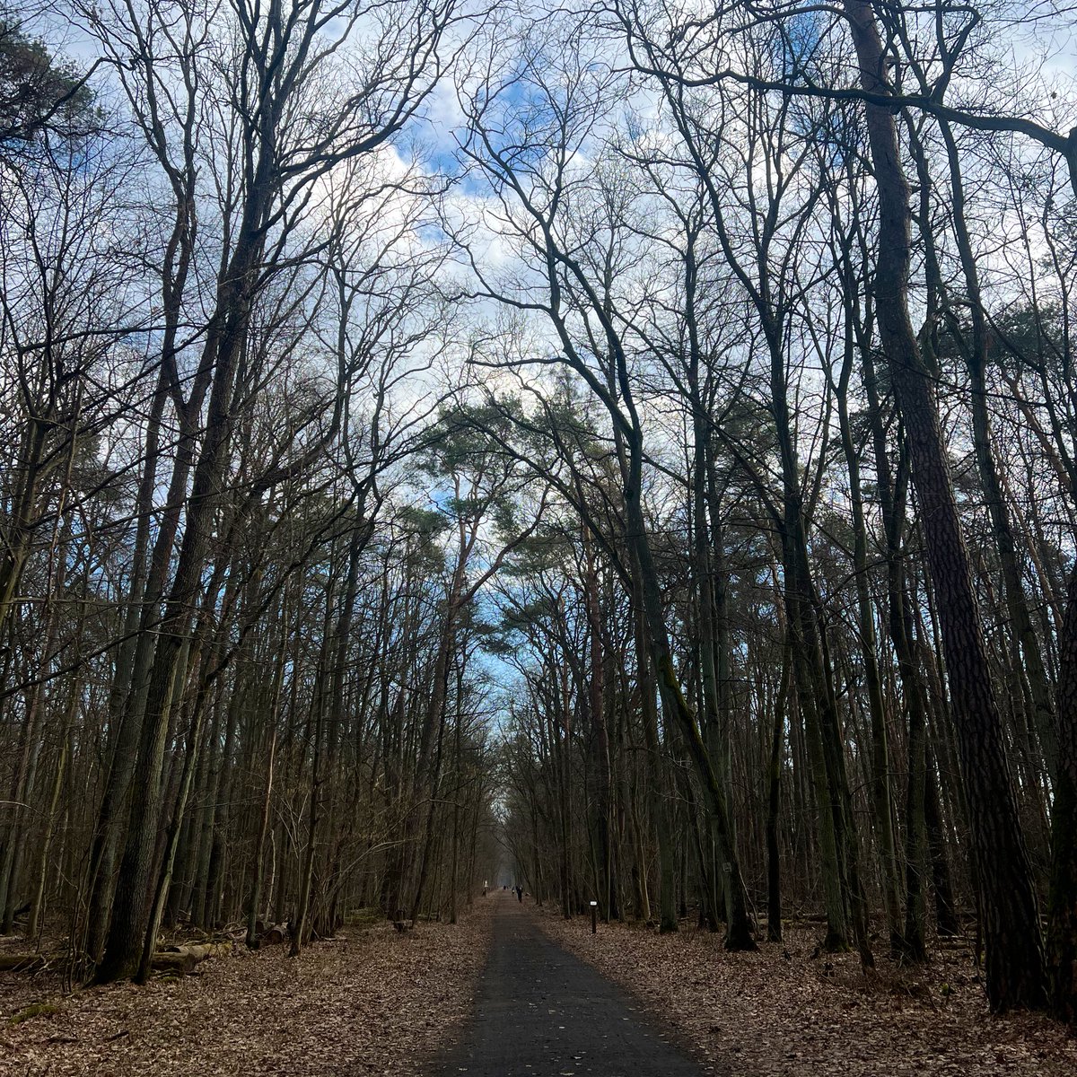 Some nature walk. Spring should be here soon