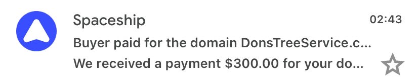 First Choice Domains tweet media