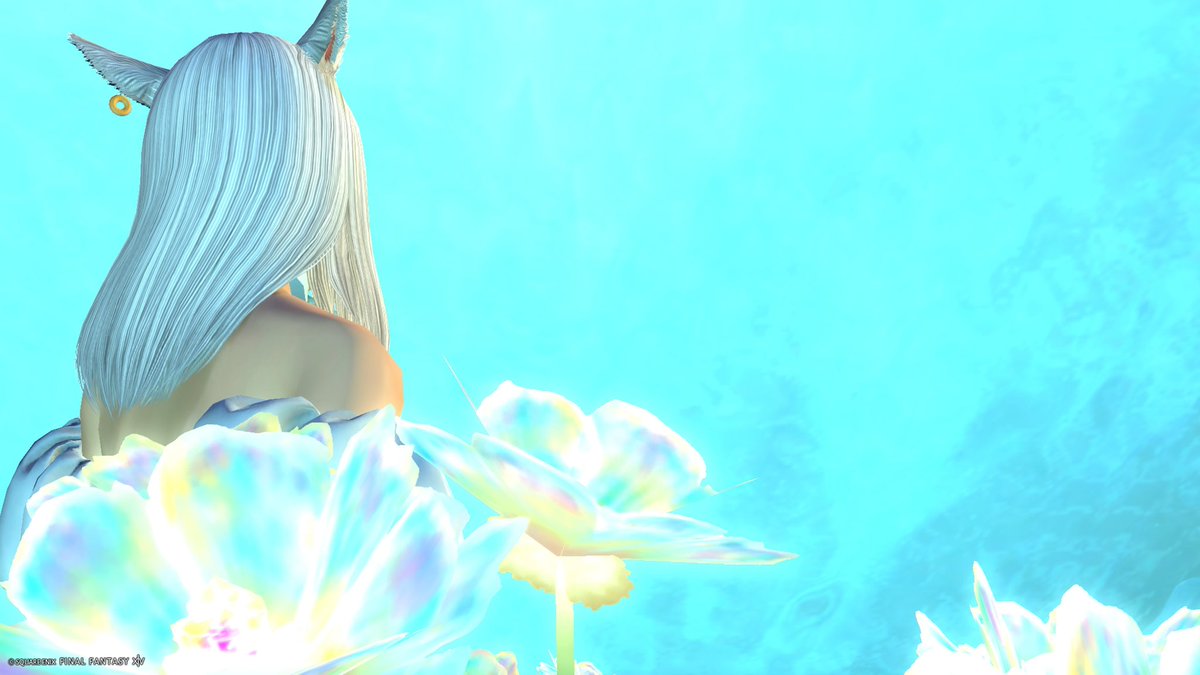 ミライさんお誕生日おめでとう🎉
これからもよろしくです✨
何とか誕生日にIN出来て良かった！