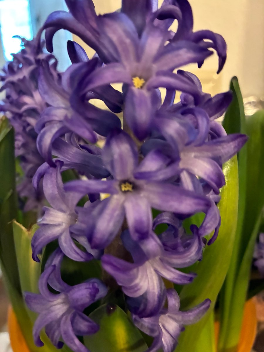 Claudia Tödtmann tweet media