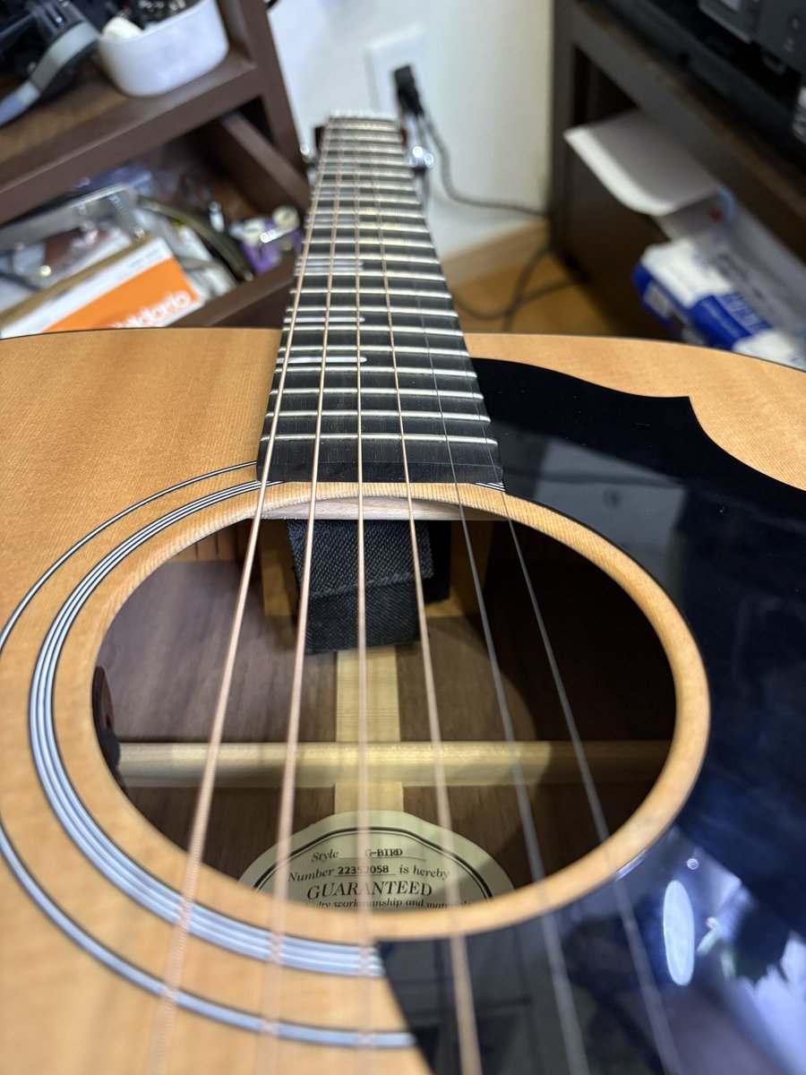 ShinKmusic's tweet photo. 本日21:00〜ツイキャス【ShinKCAS】で月1弾き語りします。高橋優など、春曲がよきかな?
https://t.co/1GPcoBegTJ
#ShinK
#弾き語り https://t.co/ukXVY9xeLb