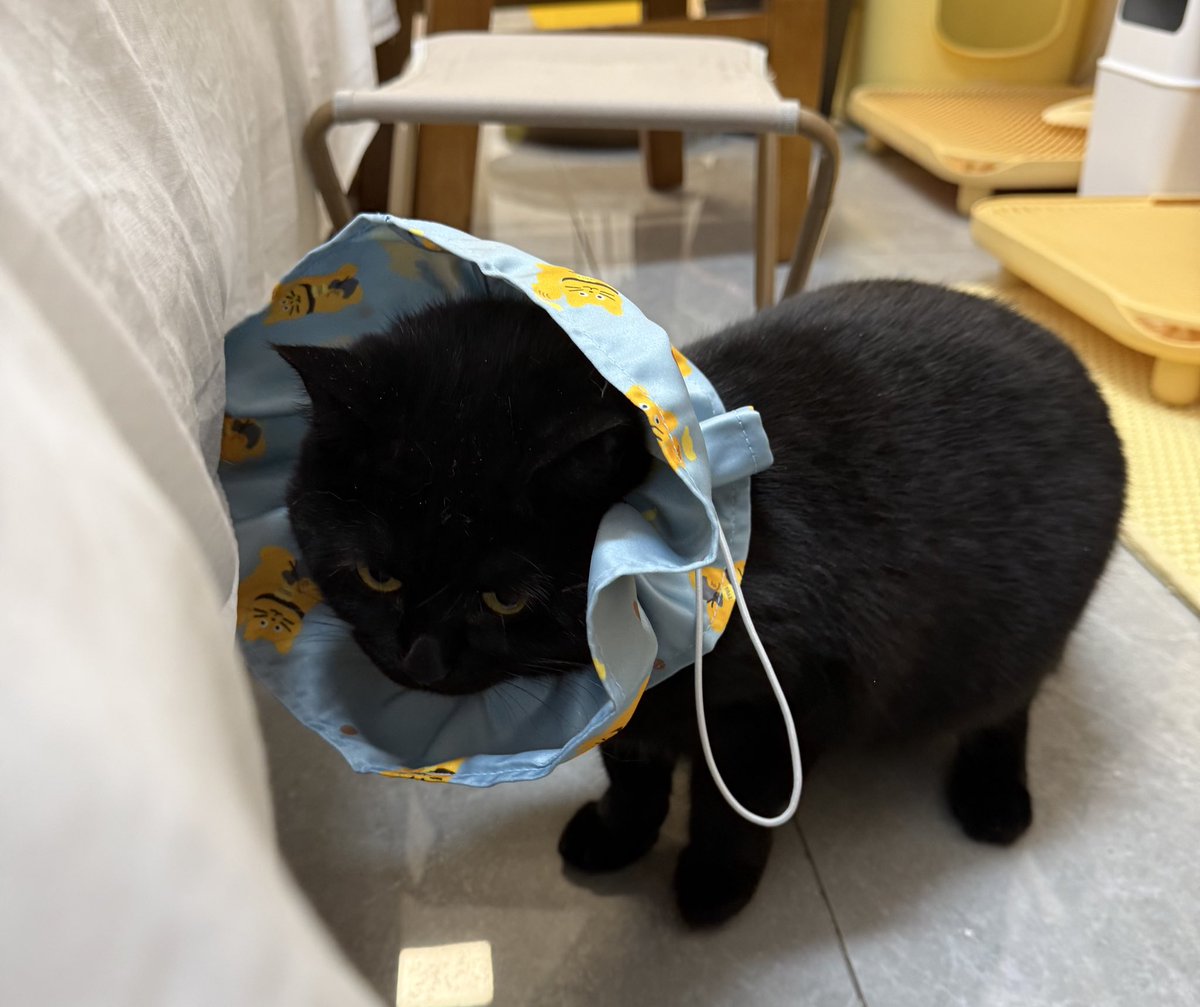 爱吃小冻干 ๑⃙⃘´༥`๑⃙⃘ tweet media