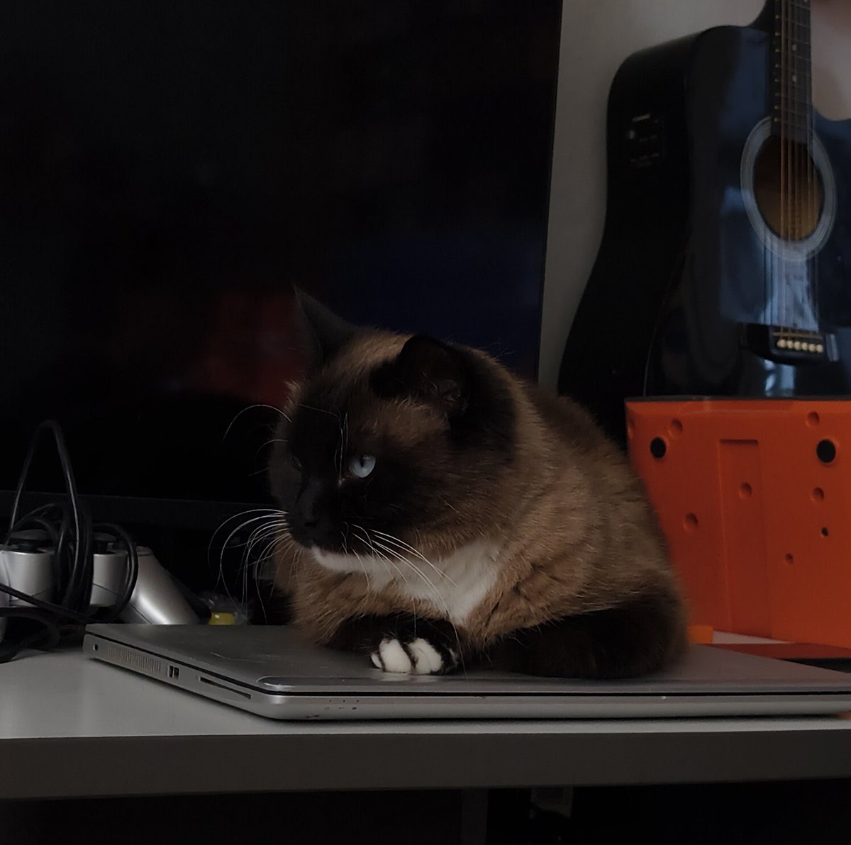 Рыжая 3,14сечка tweet media