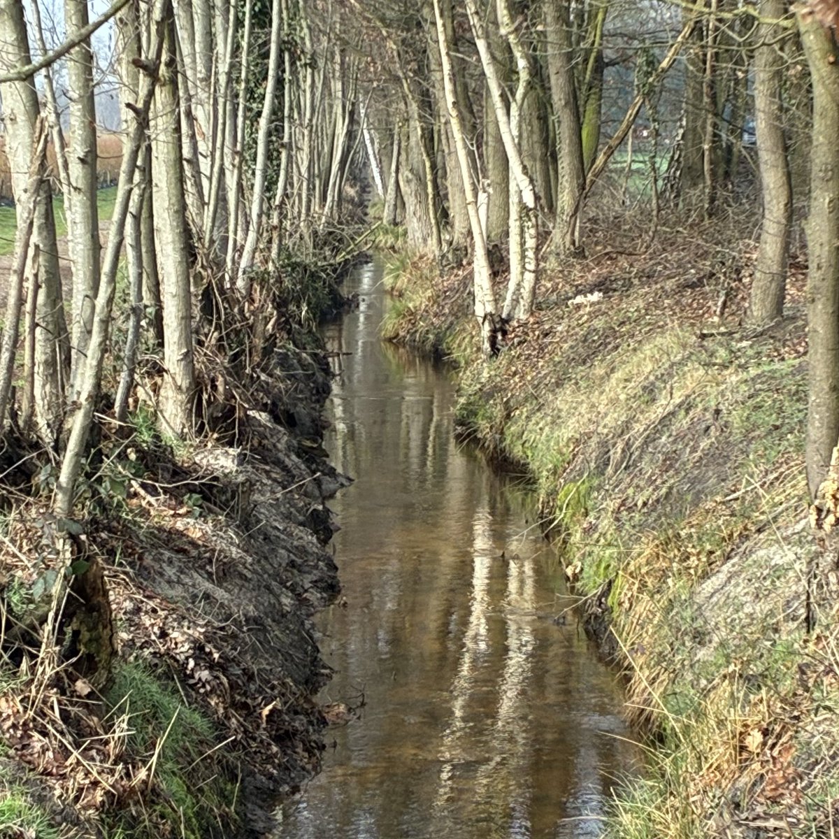 Ma®️ty tweet media