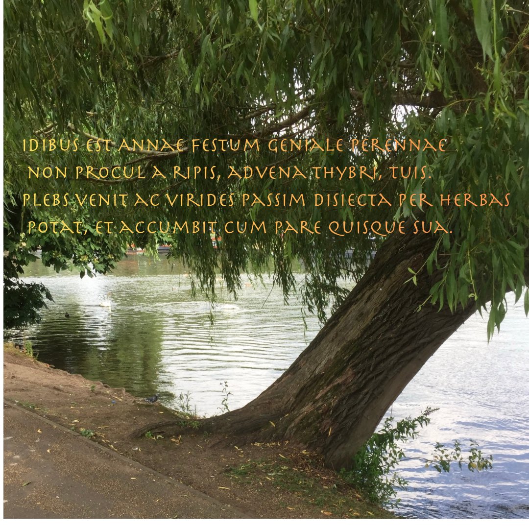 Fiona Forsyth tweet media