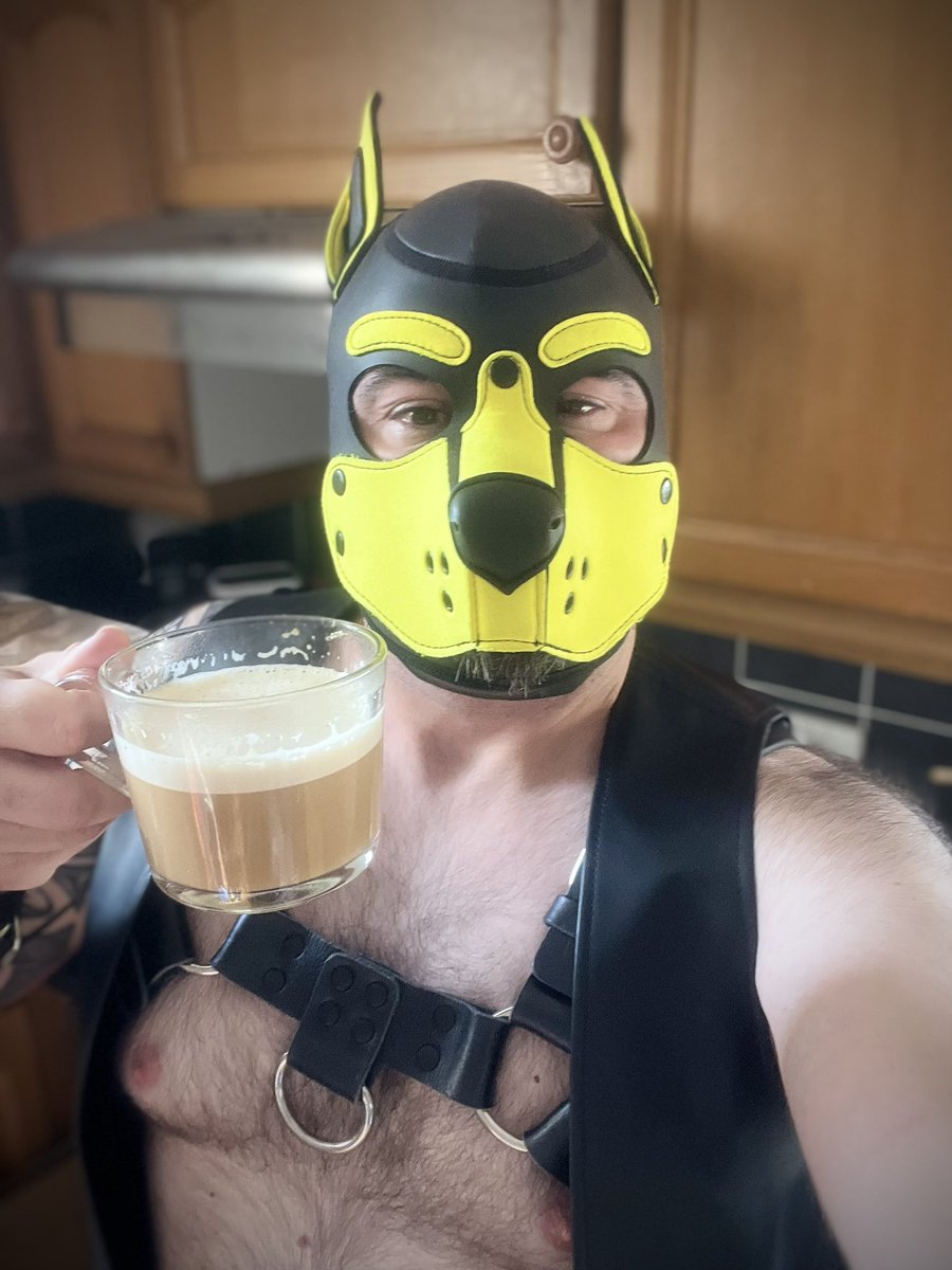 BullPup Torres ⛓️🖤💛⛓️ tweet media