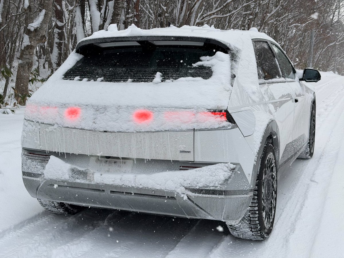 ハムスター5 tweet media