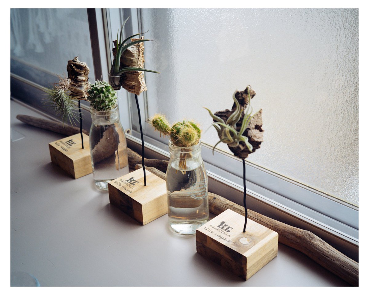 たっきー tweet media