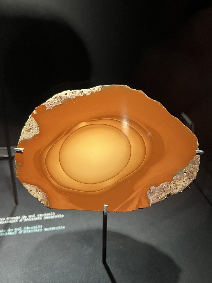 Dimitri Tilloi-d’Ambrosi tweet media