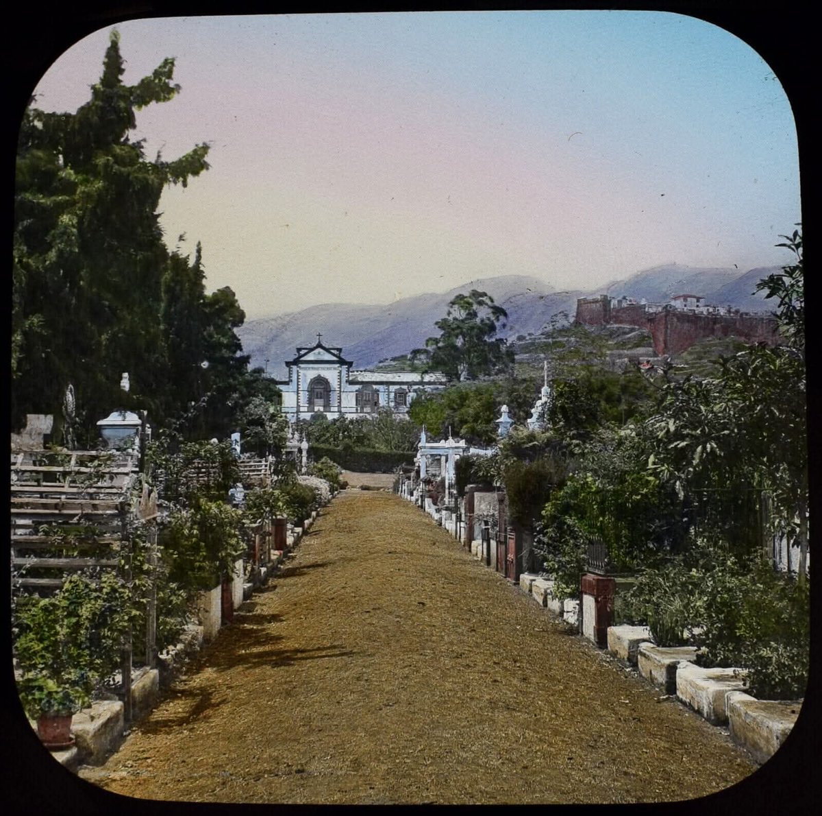 Madeira Island / Ilha da Madeira tweet media