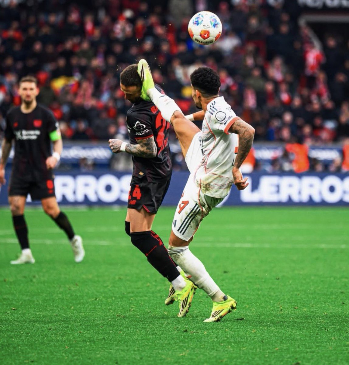 Chosé791 tweet media