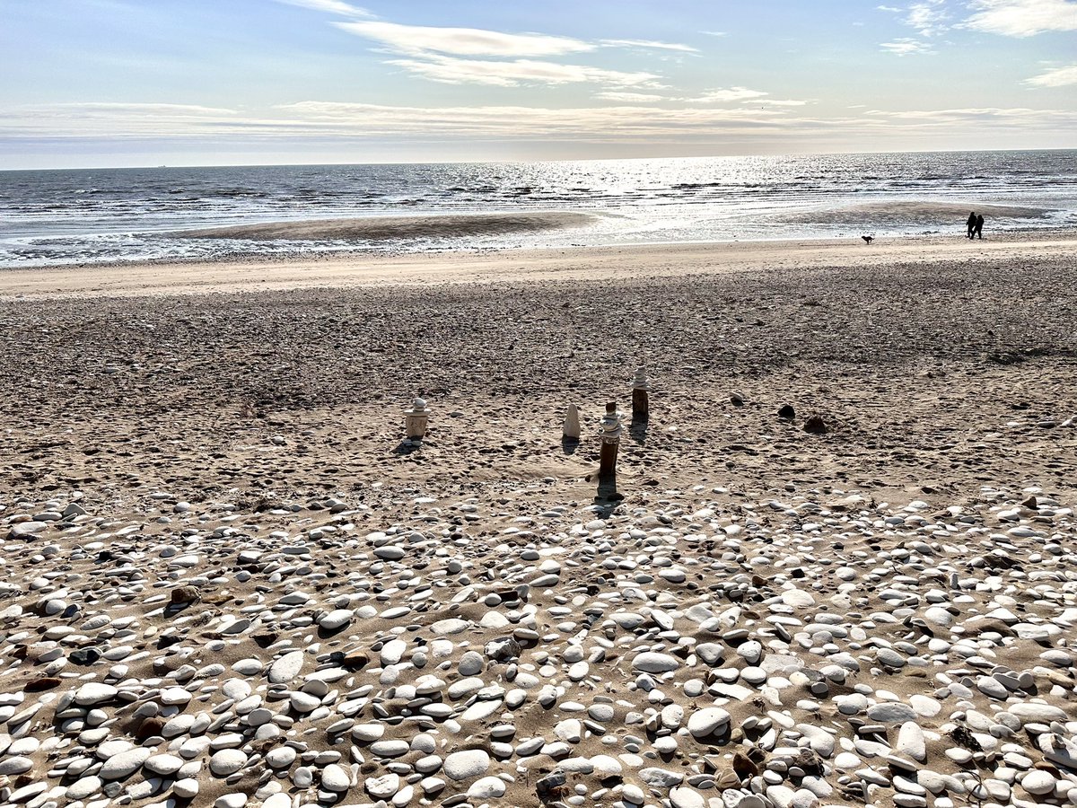 The Hutch Runs tweet media