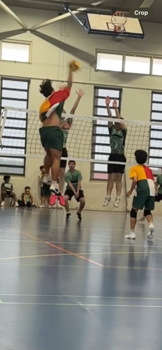 Tarquin Schwalger tweet media