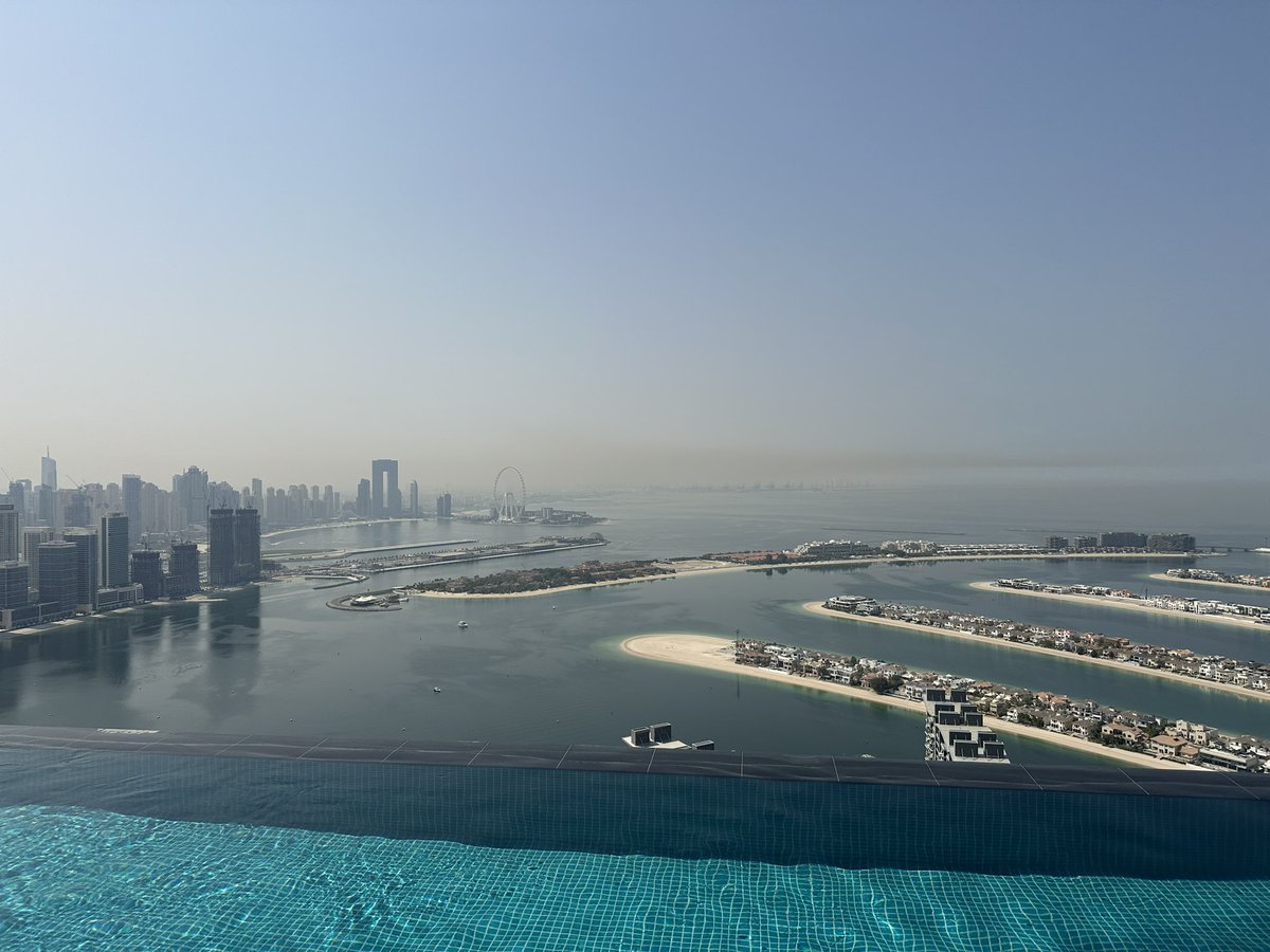 Anton Grigorev tweet media