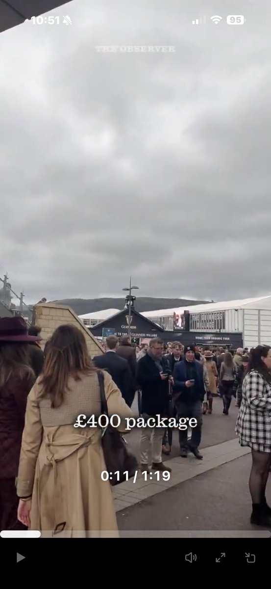 CHESHIRE-AGS .MOBILANE LIVING HEDGE INSTALLERS tweet media