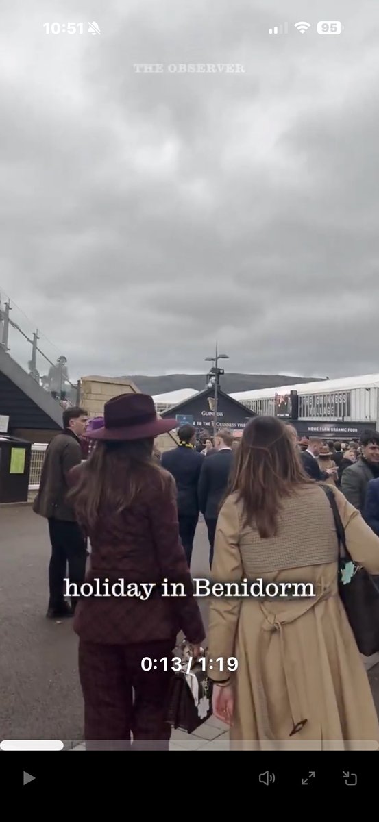 CHESHIRE-AGS .MOBILANE LIVING HEDGE INSTALLERS tweet media