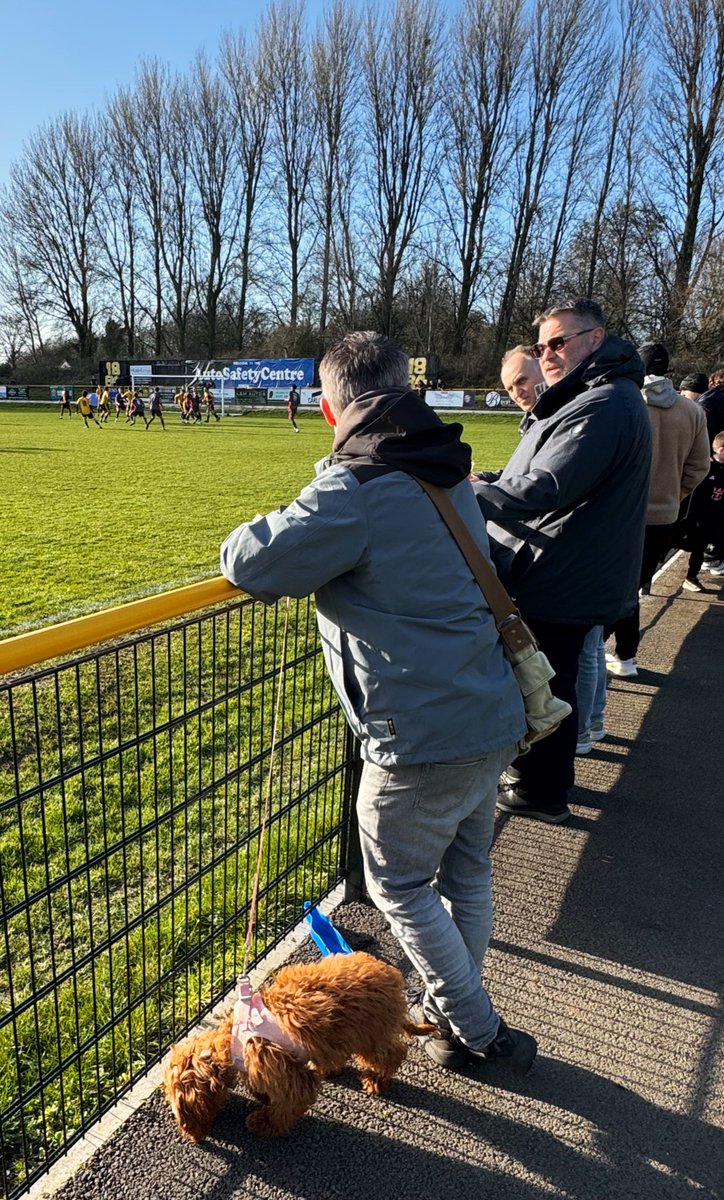 Andy Phillips tweet media