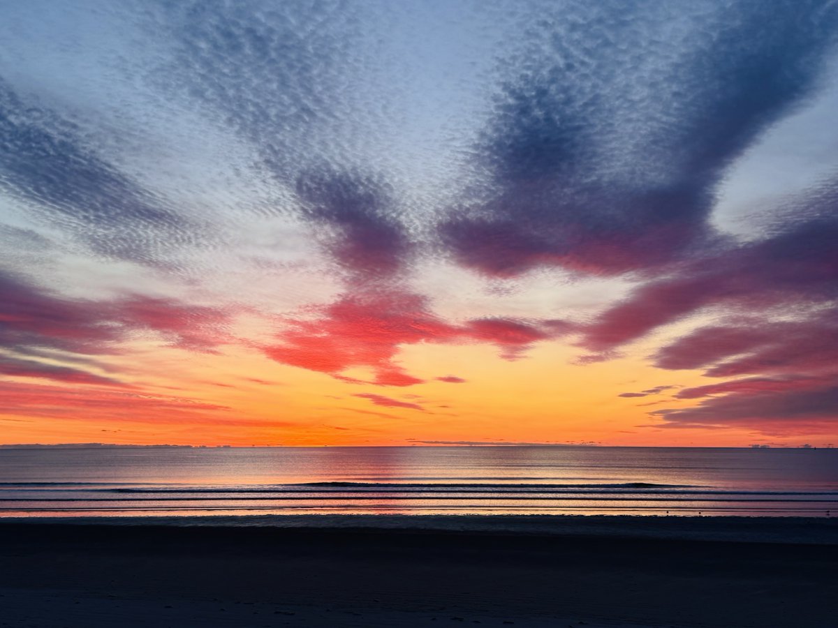 Realtor Rick 💙 tweet media