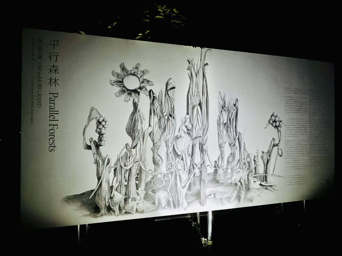 Tammy(タミー) tweet media