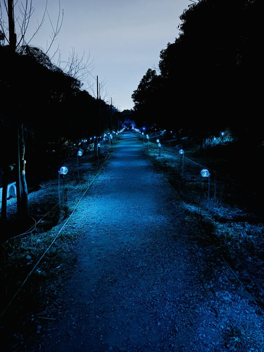 Tammy(タミー) tweet media