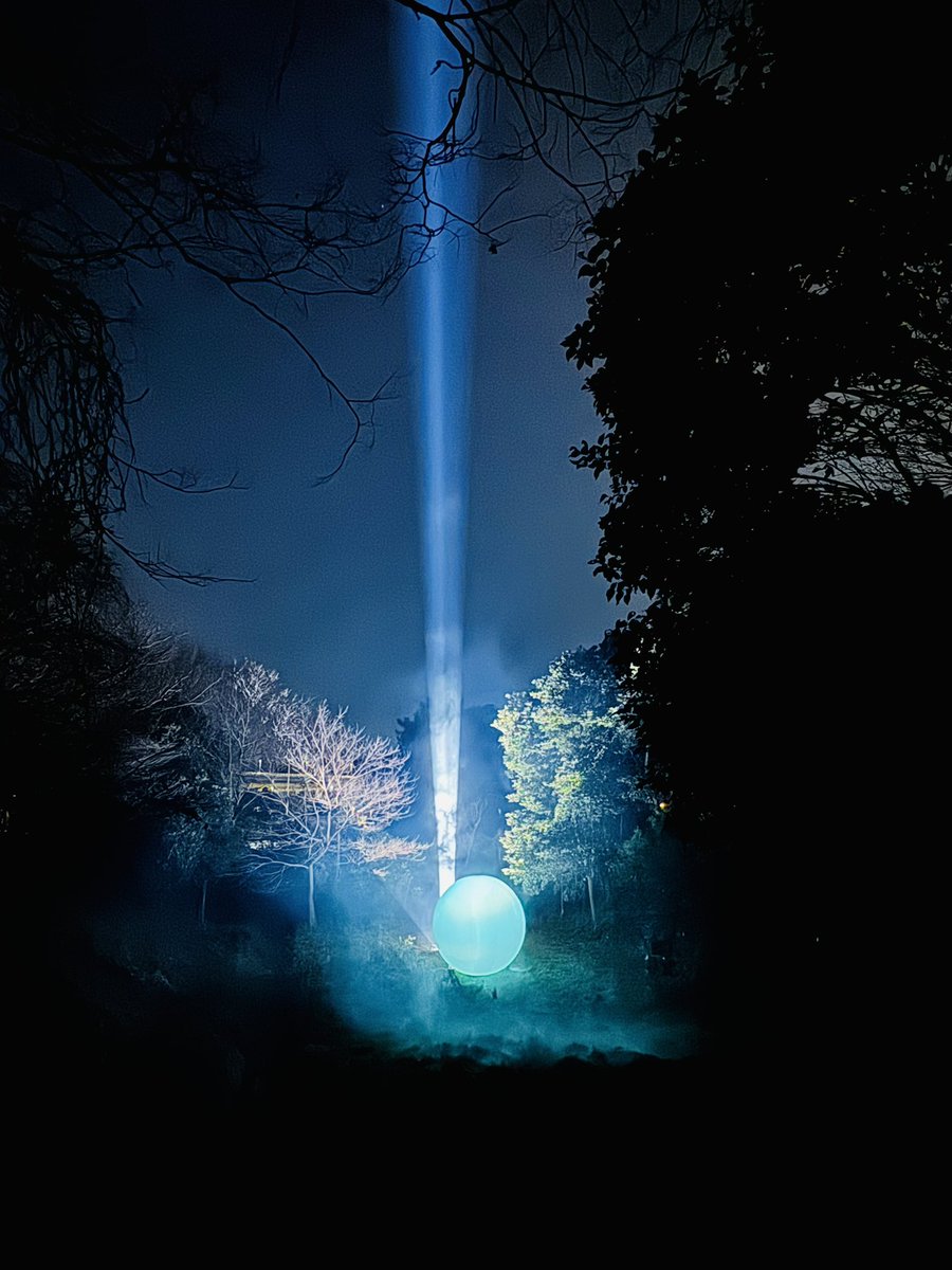 Tammy(タミー) tweet media