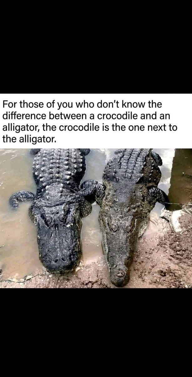 Northernman (@northerman102) on Twitter photo 