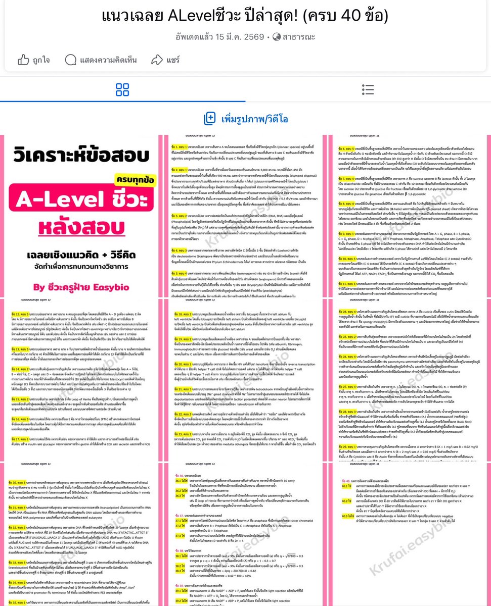 ชีวะครูฝ้าย🧠🌟#dek70 tweet media
