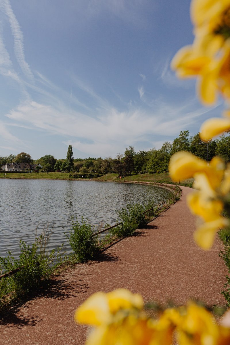 Ville d'Orléans tweet media