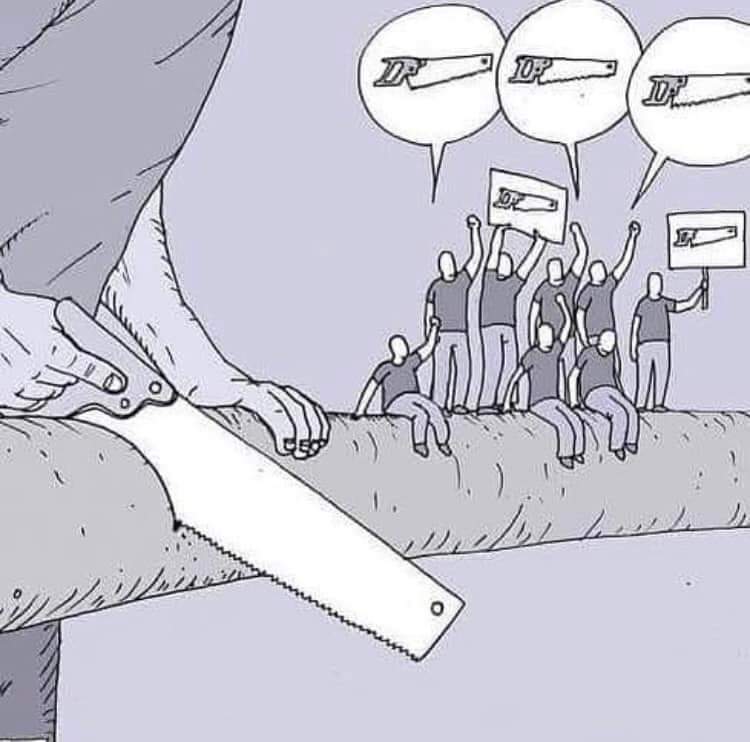 la camella republicana tweet media